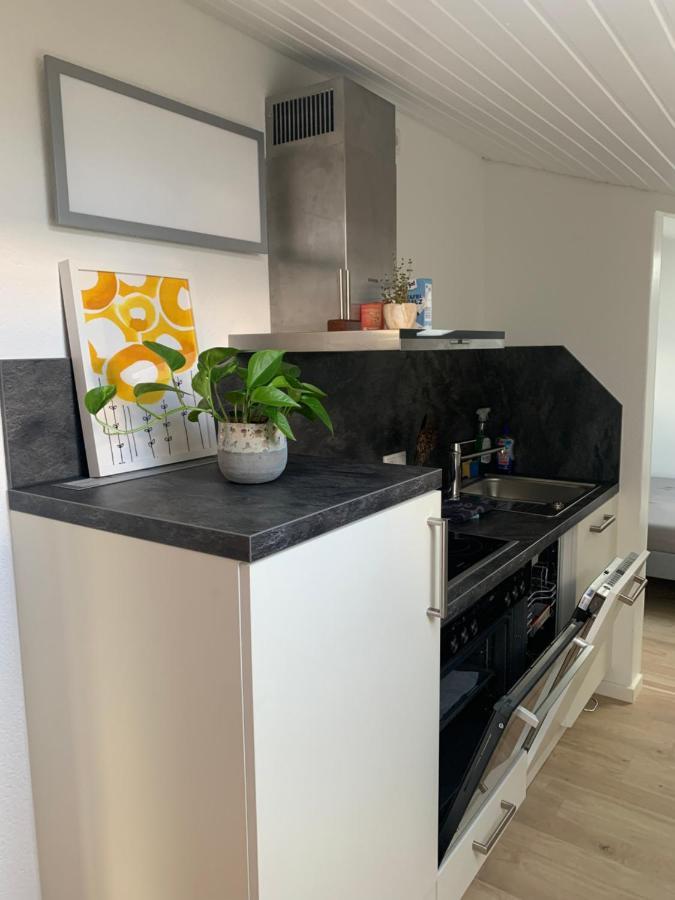 Schoene, Grosse Ferienwohnung Direkt Am Donauradweg & Keltenstadt Heuneburg Herbertingen Exterior foto