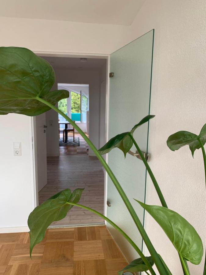 Schoene, Grosse Ferienwohnung Direkt Am Donauradweg & Keltenstadt Heuneburg Herbertingen Exterior foto