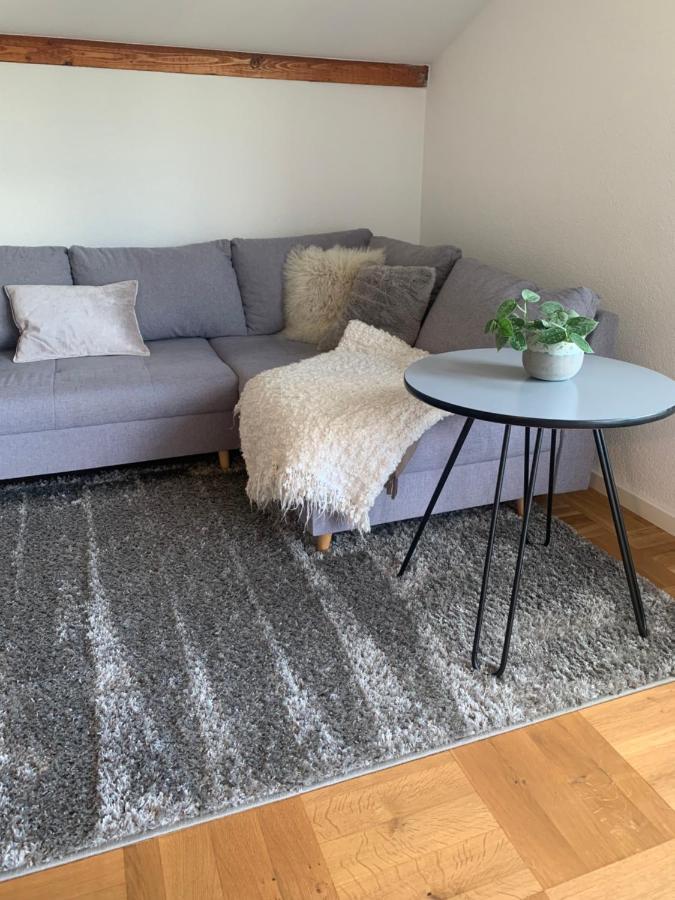 Schoene, Grosse Ferienwohnung Direkt Am Donauradweg & Keltenstadt Heuneburg Herbertingen Exterior foto
